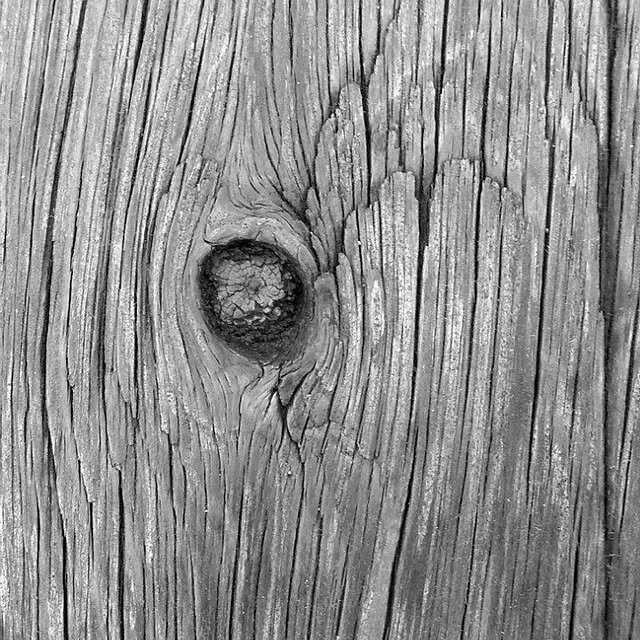 If I were a tree