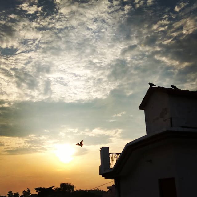 Fly away